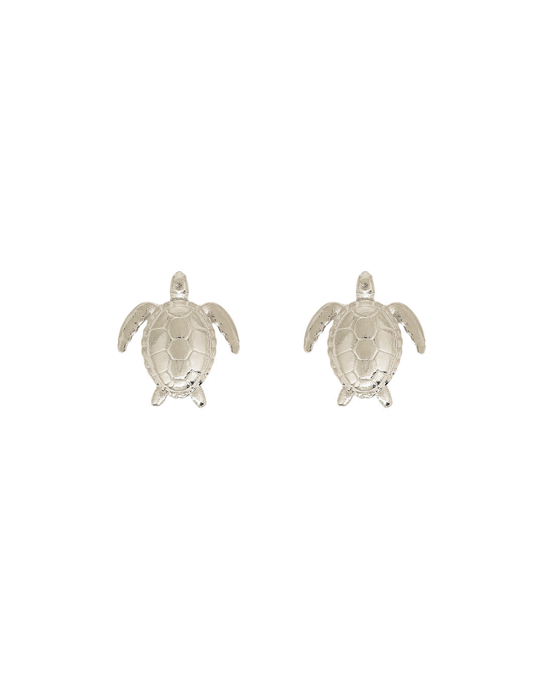 aretes-turtle-reef