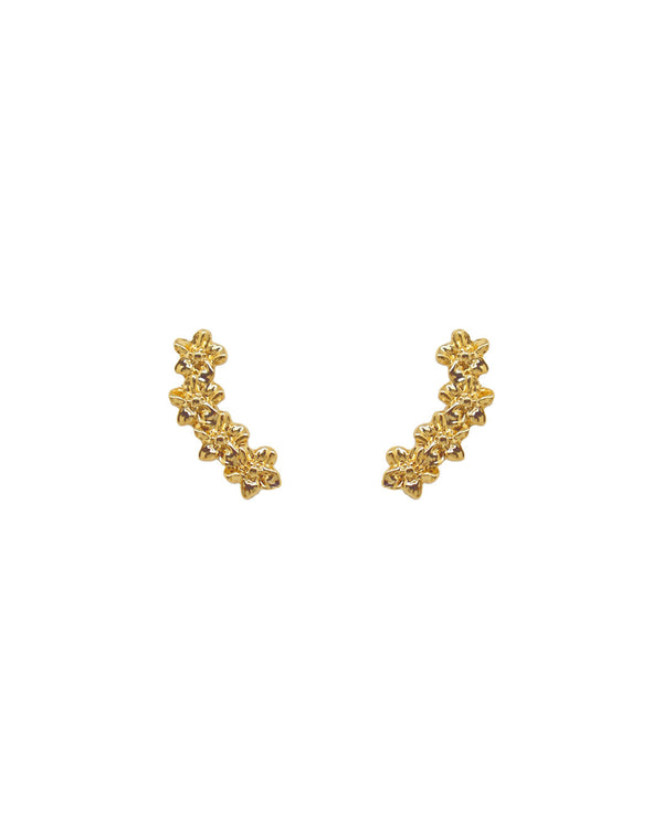 Aretes Gardenia