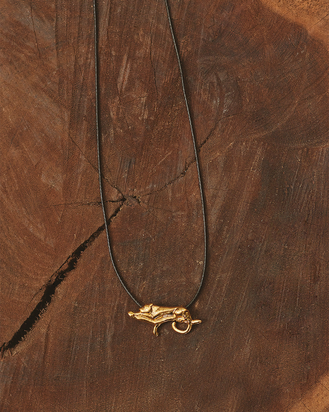 Choker Tigre