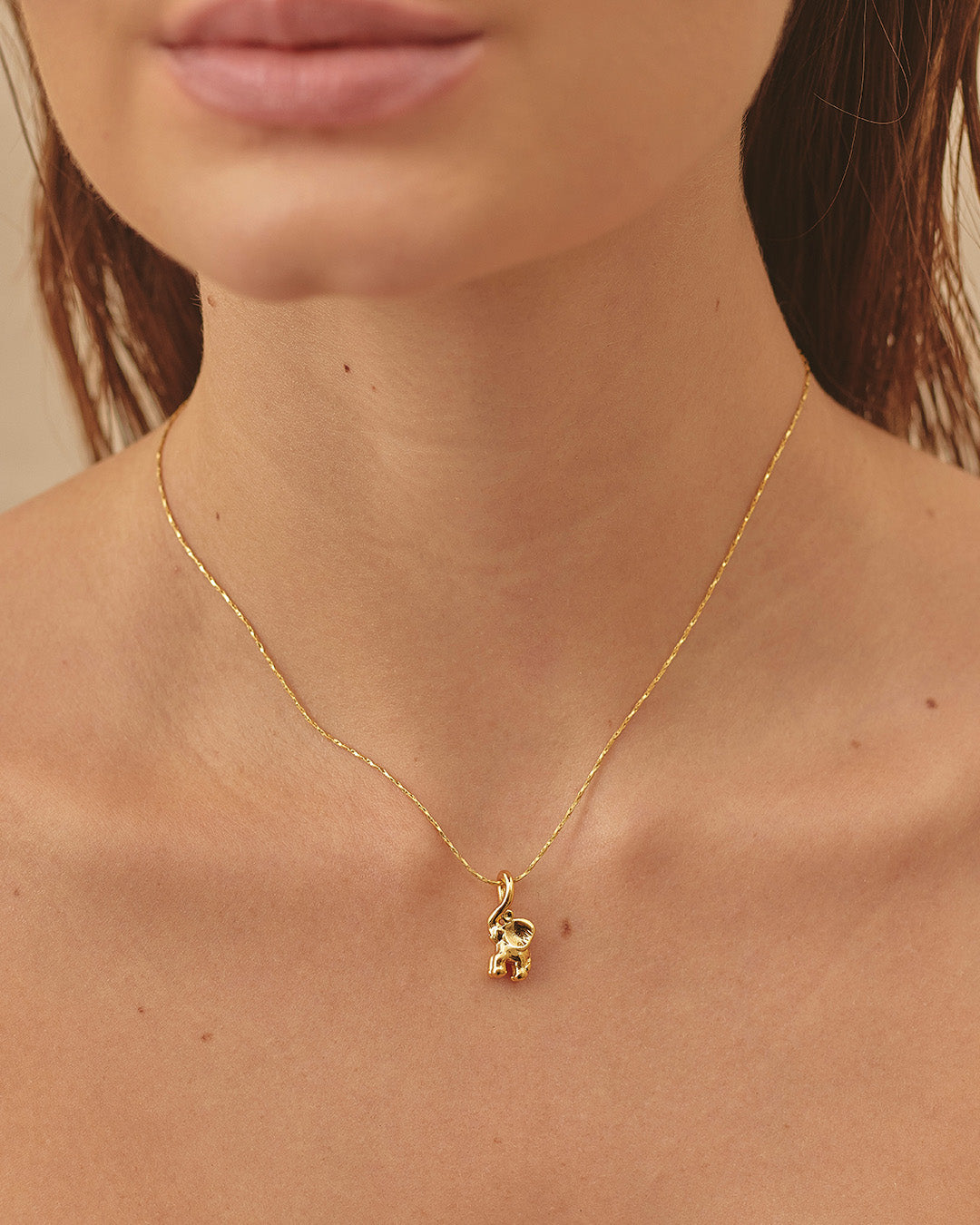 Set de Collar y Aretes Marfil