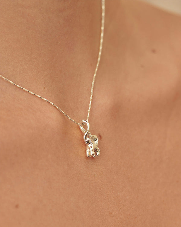 Set de Collar y Aretes Marfil