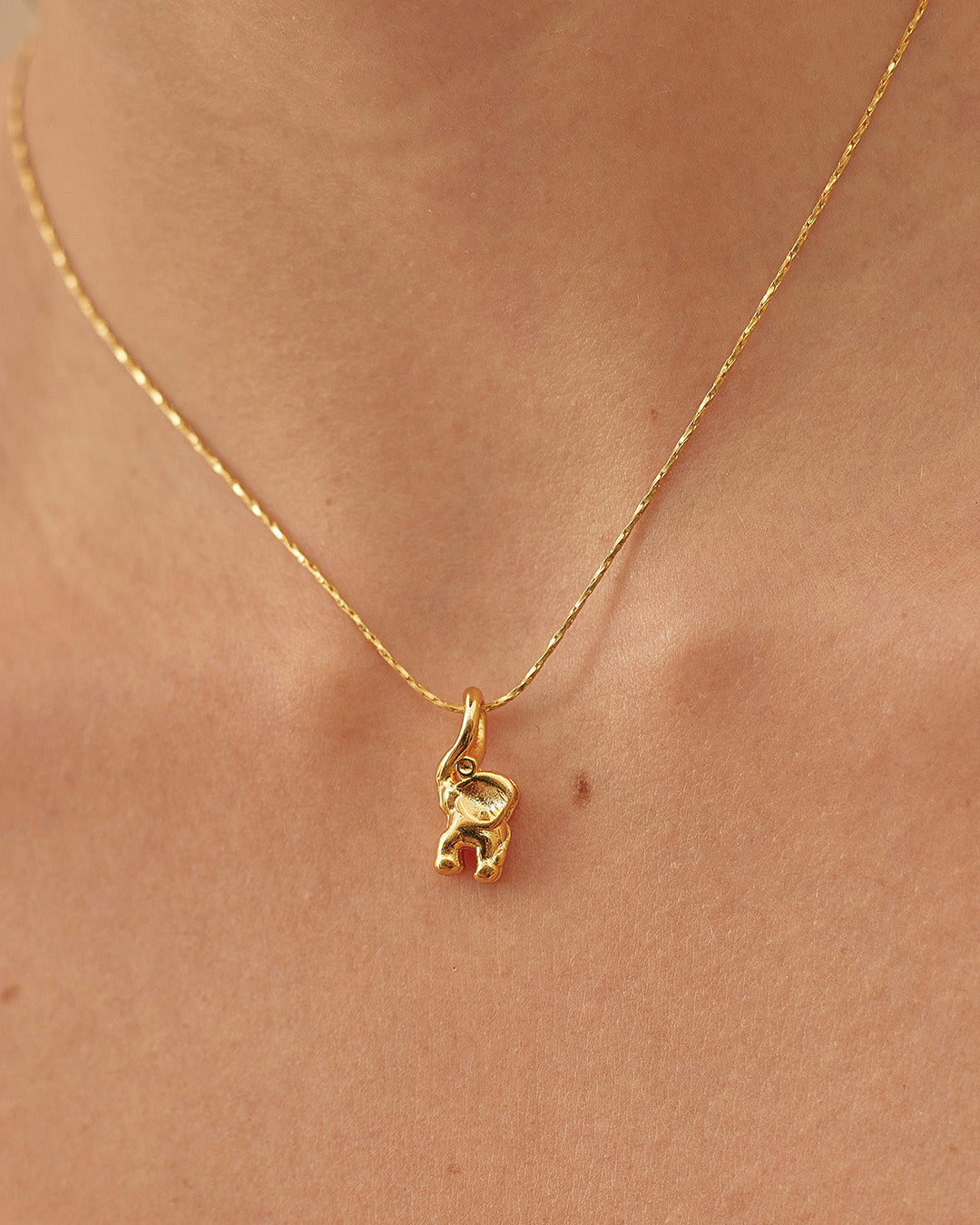 Set de Collar y Aretes Marfil