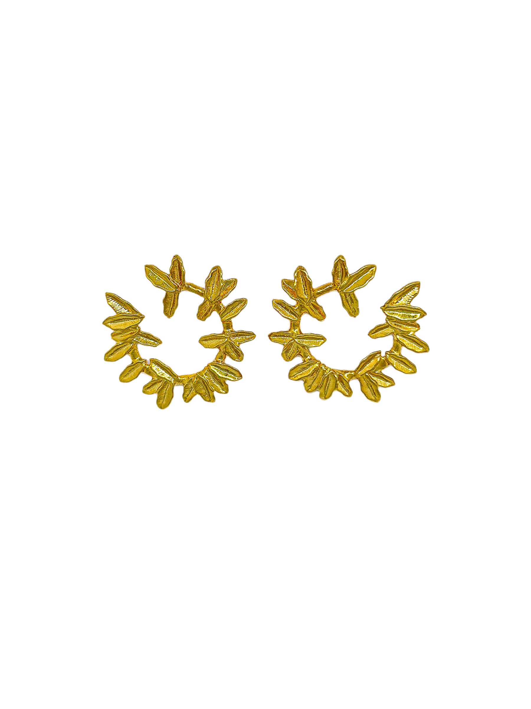 aretes-cienaga