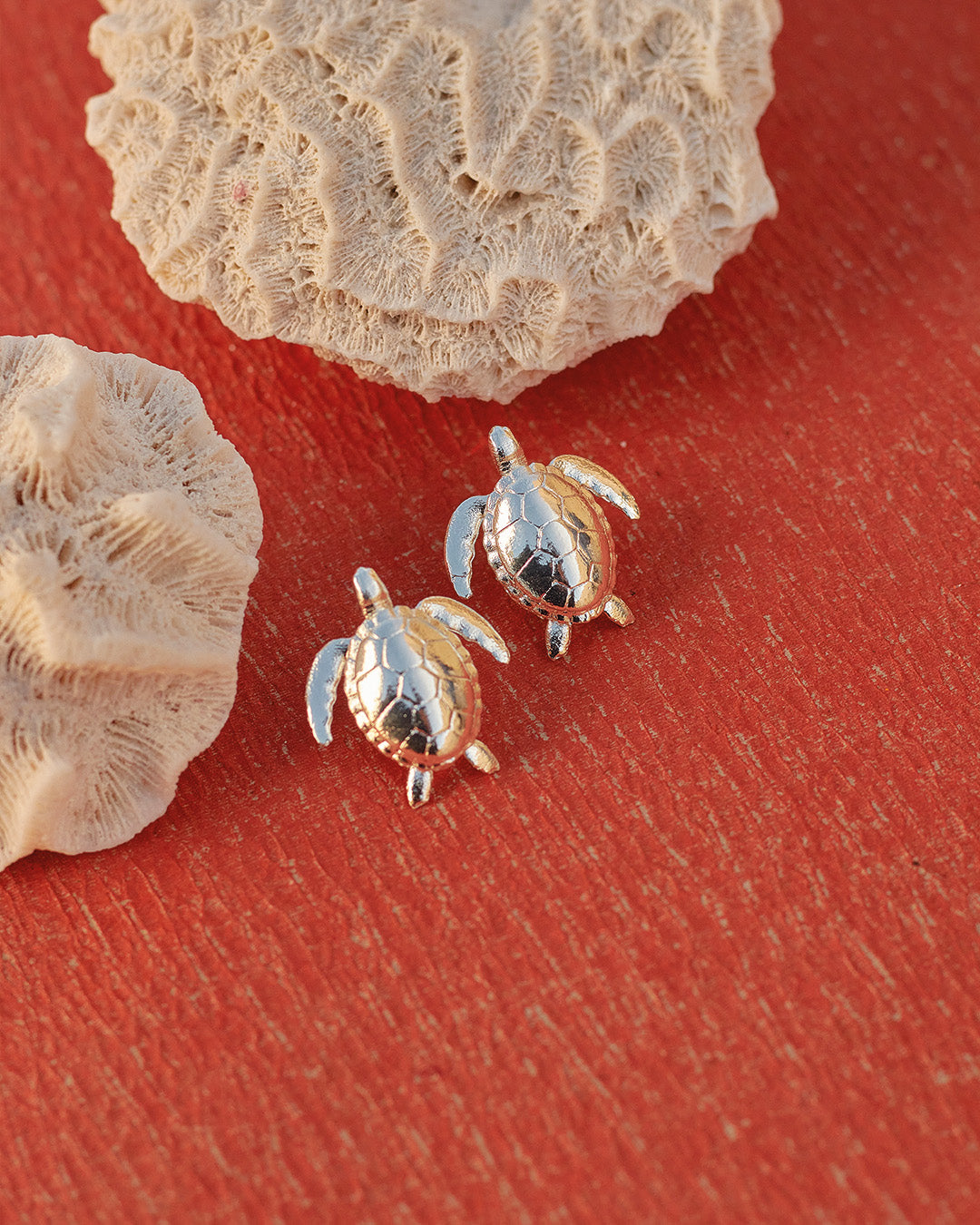 aretes-turtle-reef