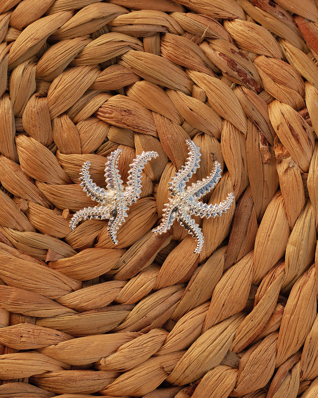 aretes-solesea