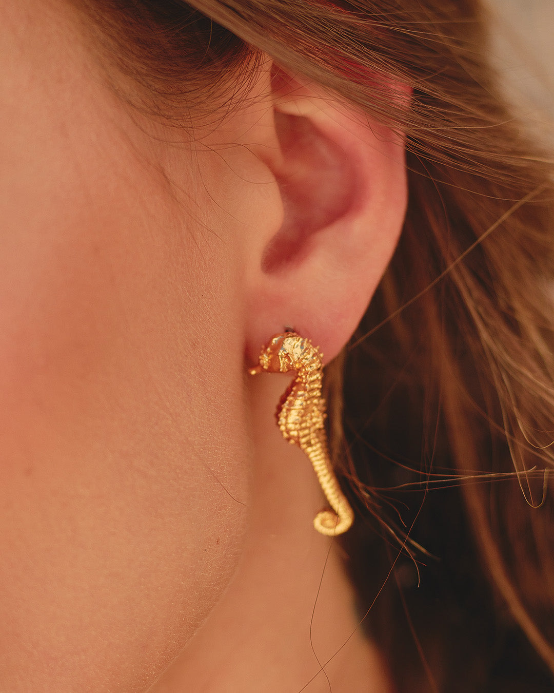 aretes-seahorse